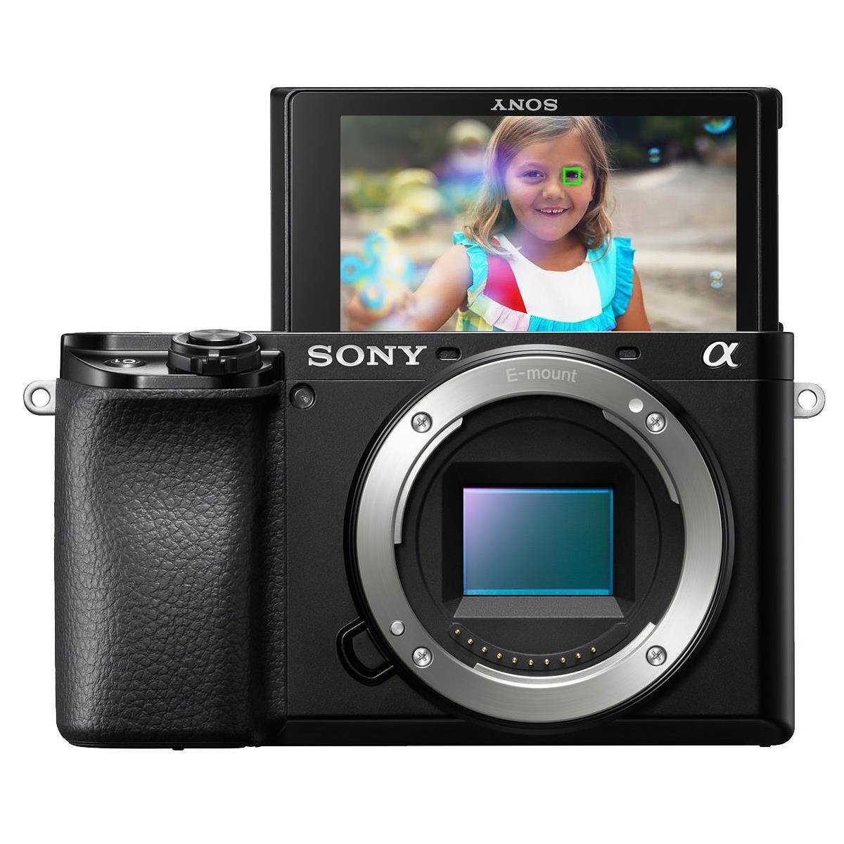 SONY SONY E-mount