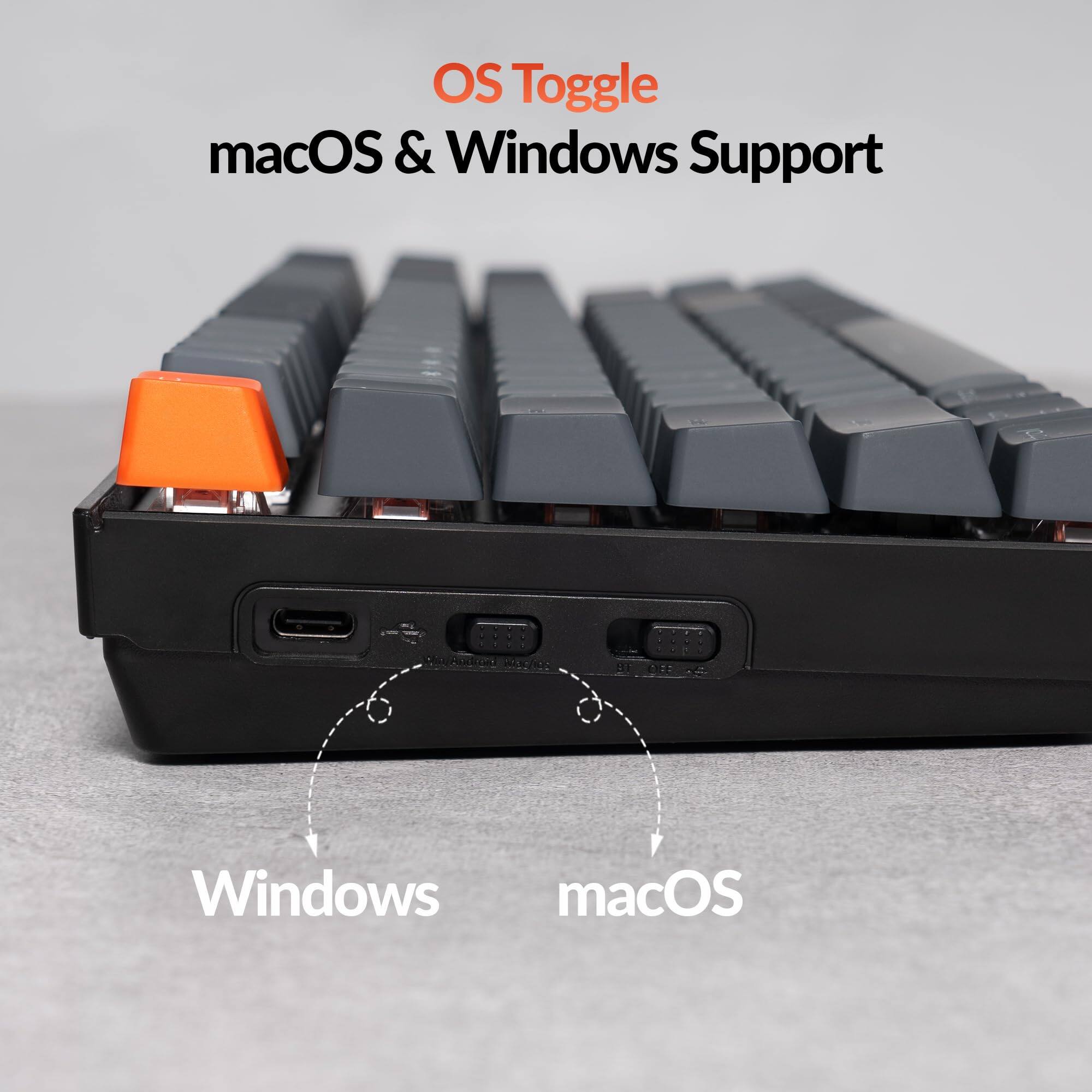 OS Toggle  
macOS & Windows Support  

Windows  
macOS