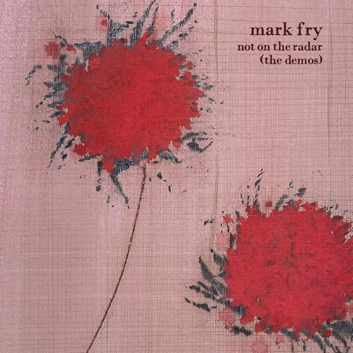 Mark Fry - Not On The Radar: Demos   - VINYL LP price history on PriceWatchPro