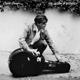 Steve Gunn - Unseen In Between - VINYL LP