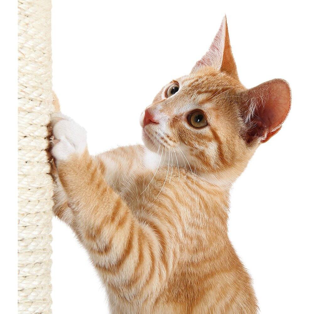 Back. TRIXIE - Palamos Plush & Sisal 4-Level Cat Tree with Scratching Posts & Condo - Beige.