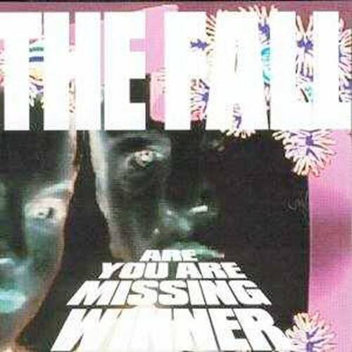 The Fall - Are You Are Next Winner?   - COMPACT DISCS [CD] price history on PriceWatchPro