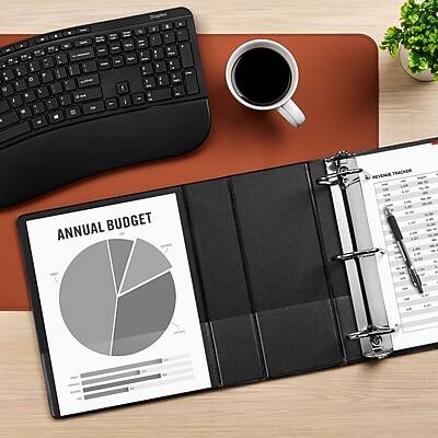 ANNUAL BUDGET

REVEMA TRACKER