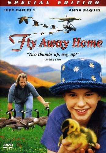 Fly Away Home  - DVD
