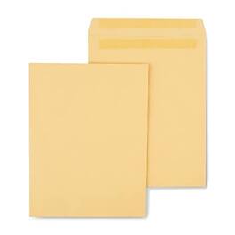 Staples - Self Seal Kraft Catalog Envelopes, 10"L x 13"H, 100/Box - Brown