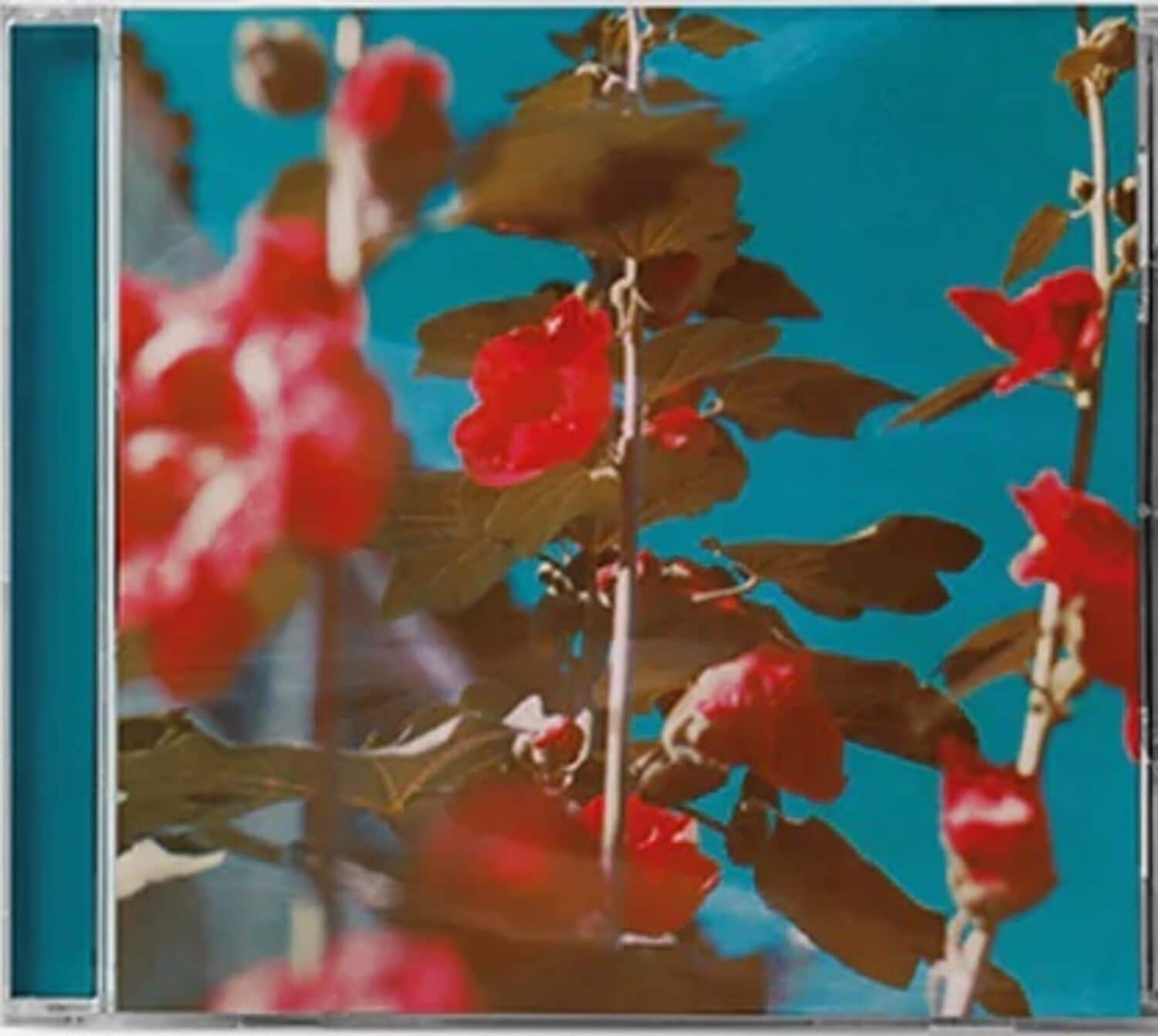 Chad Lawson - breathe   - COMPACT DISCS [CD] price history on PriceWatchPro