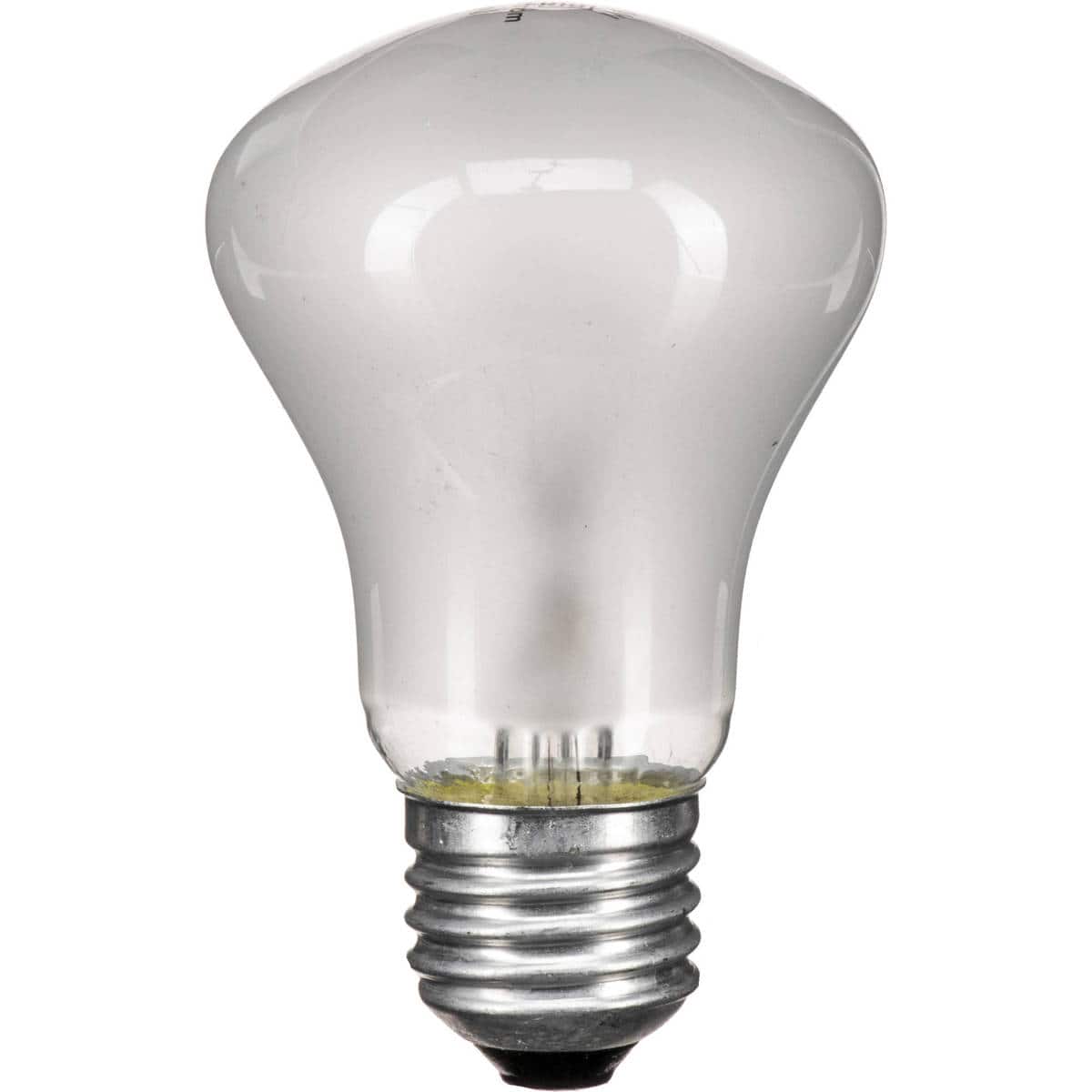 Photos - Light Bulb Elinchrom Modeling Lamp 100w/90v for EL250, EL250C Monolights EL23006 (EL23006)