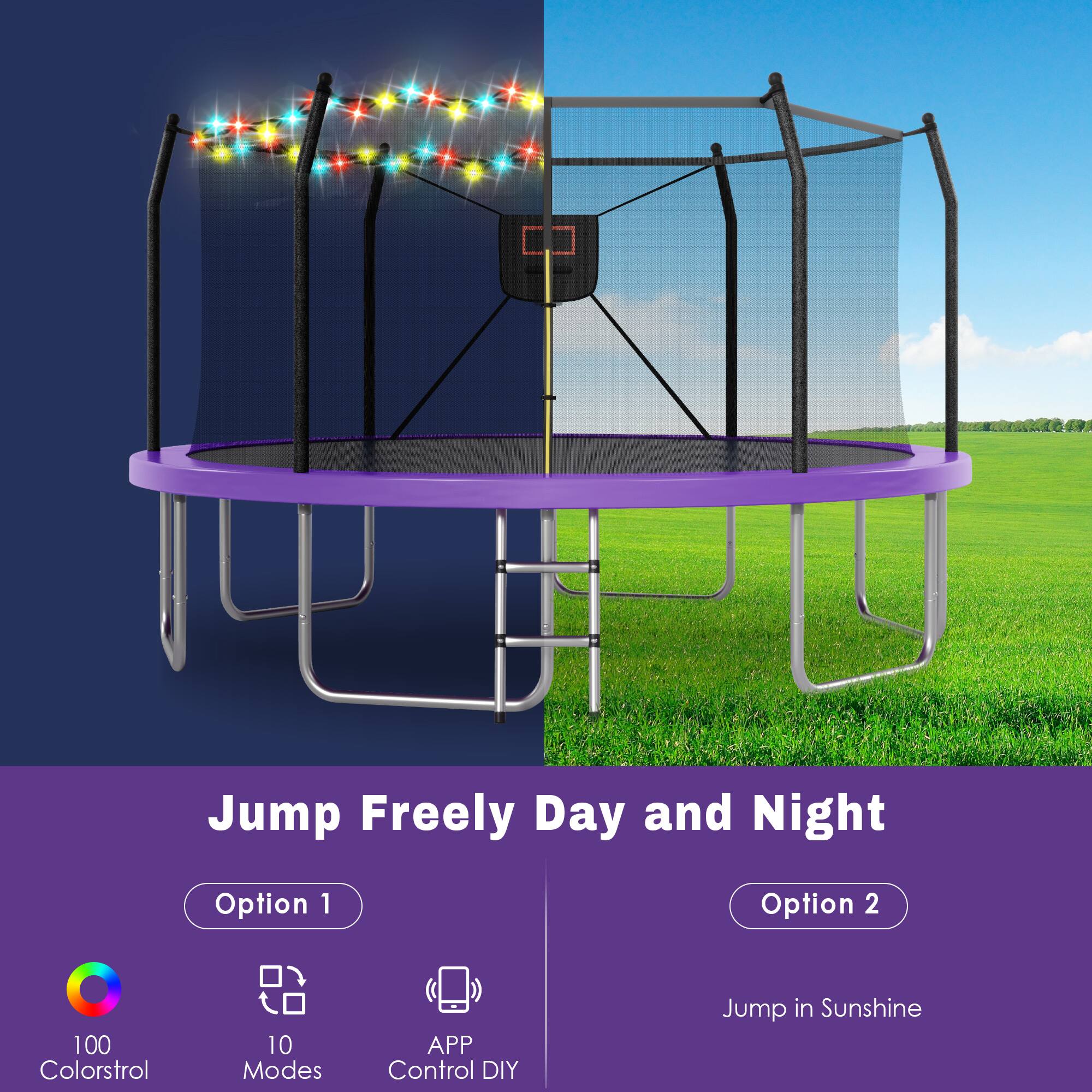 Jump Freely Day and Night

Option 1
- 100 Colorstrol
- 10 Modes
- APP Control DIY

Option 2
- Jump in Sunshine