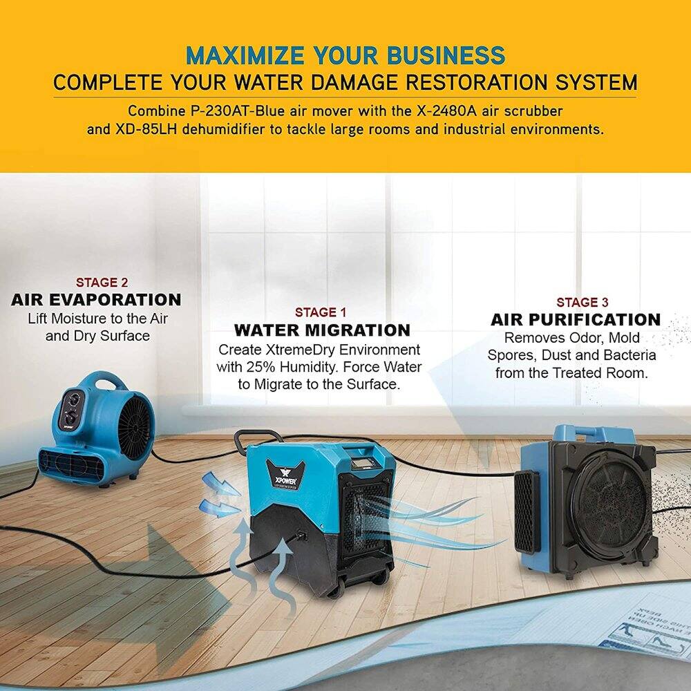 MAXIMIZE YOUR BUSINESS  
COMPLETE YOUR WATER DAMAGE RESTORATION SYSTEM  

Combine P-230AT-Blue air mover with the X-2480A air scrubber and XD-85LH dehumidifier to tackle large rooms and industrial environments.  

STAGE 1  
WATER MIGRATION  
Create XtremeDry Environment with 25% Humidity. Force Water to Migrate to the Surface.  

STAGE 2  
AIR EVAPORATION  
Lift Moisture to the Air and Dry Surface  

STAGE 3  
AIR PURIFICATION  
Removes Odor, Mold Spores, Dust and Bacteria from the Treated Room.  

XPOWER 2 80 20