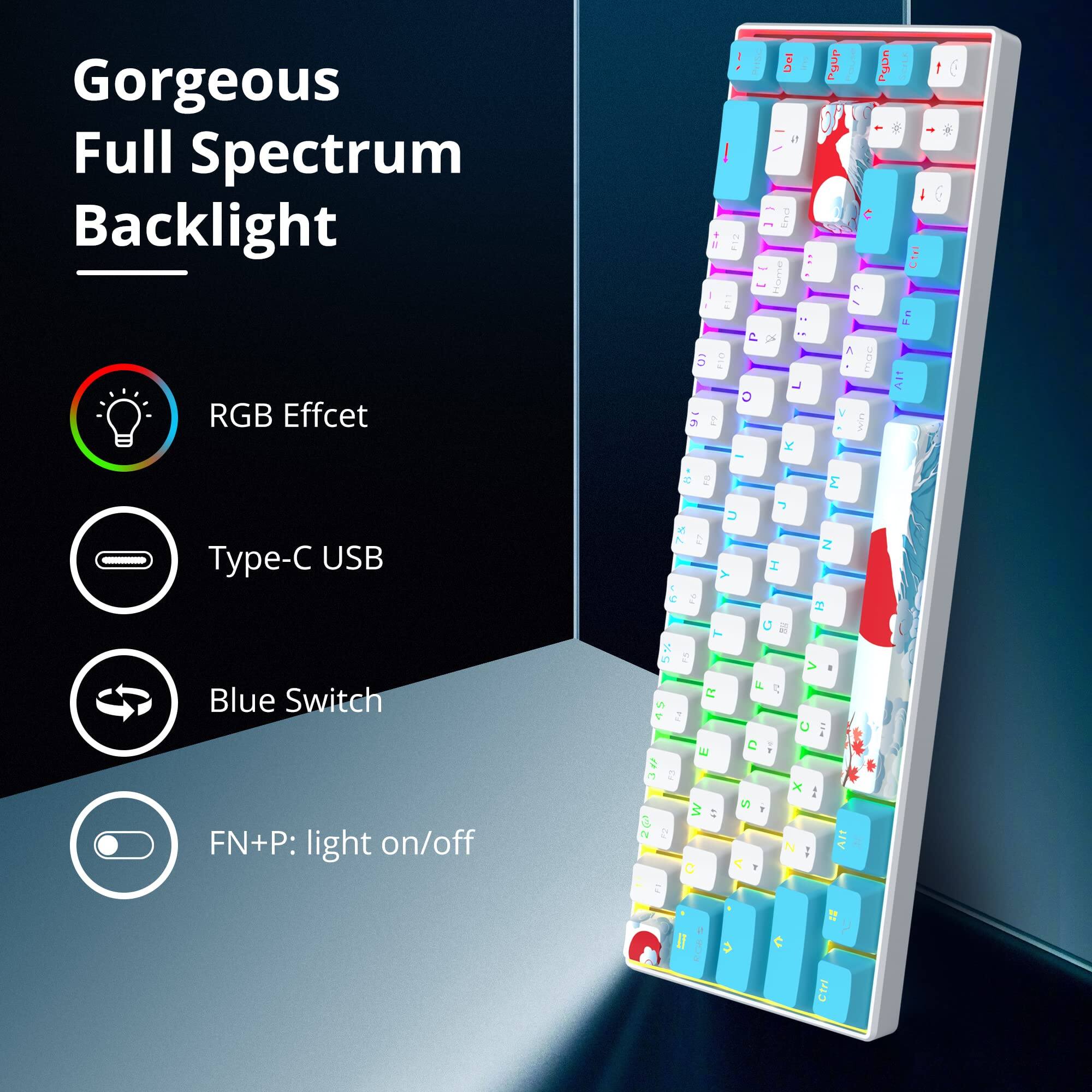 Gorgeous Full Spectrum Backlight

- RGB Effect
- Type-C USB
- Blue Switch
- FN+P: light on/off