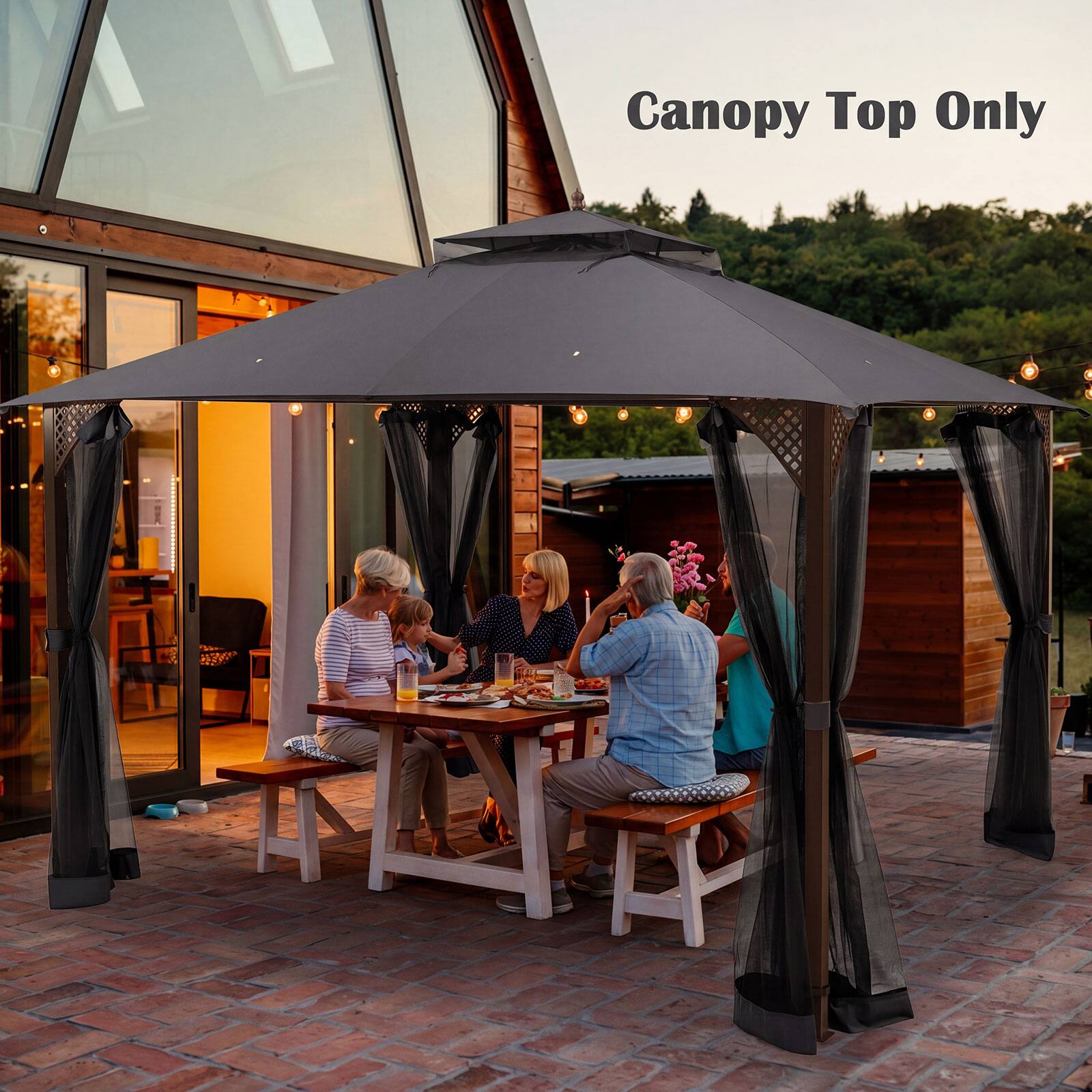 Canopy Top Only