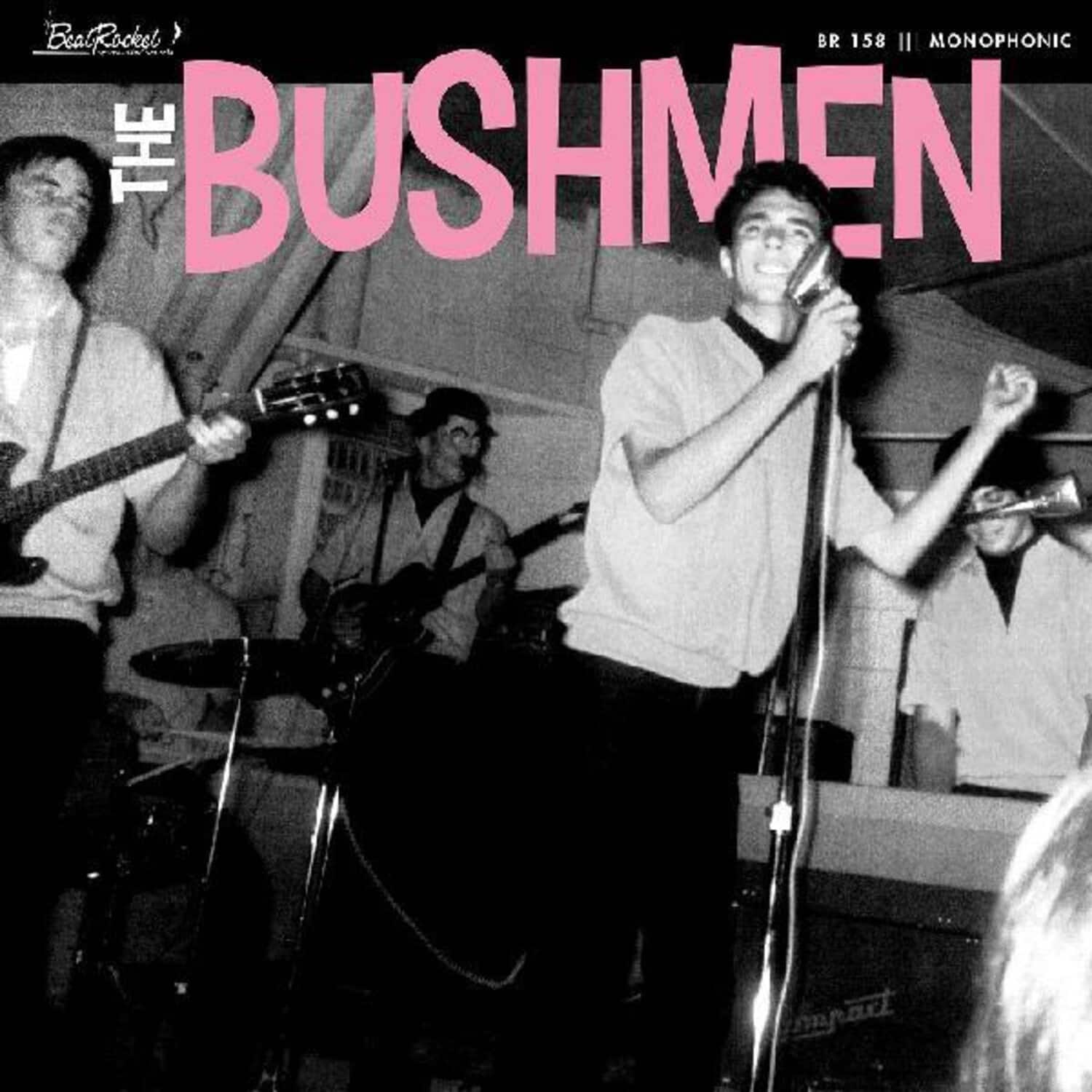 Bushmen - The Bushmen   - VINYL LP price history on PriceWatchPro