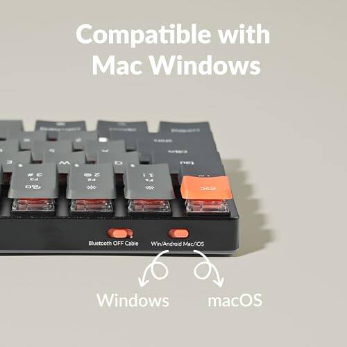 Compatible with Mac Windows

Bluetooth OFF Cable

Win/Android Mac/iOS

Windows

macOS