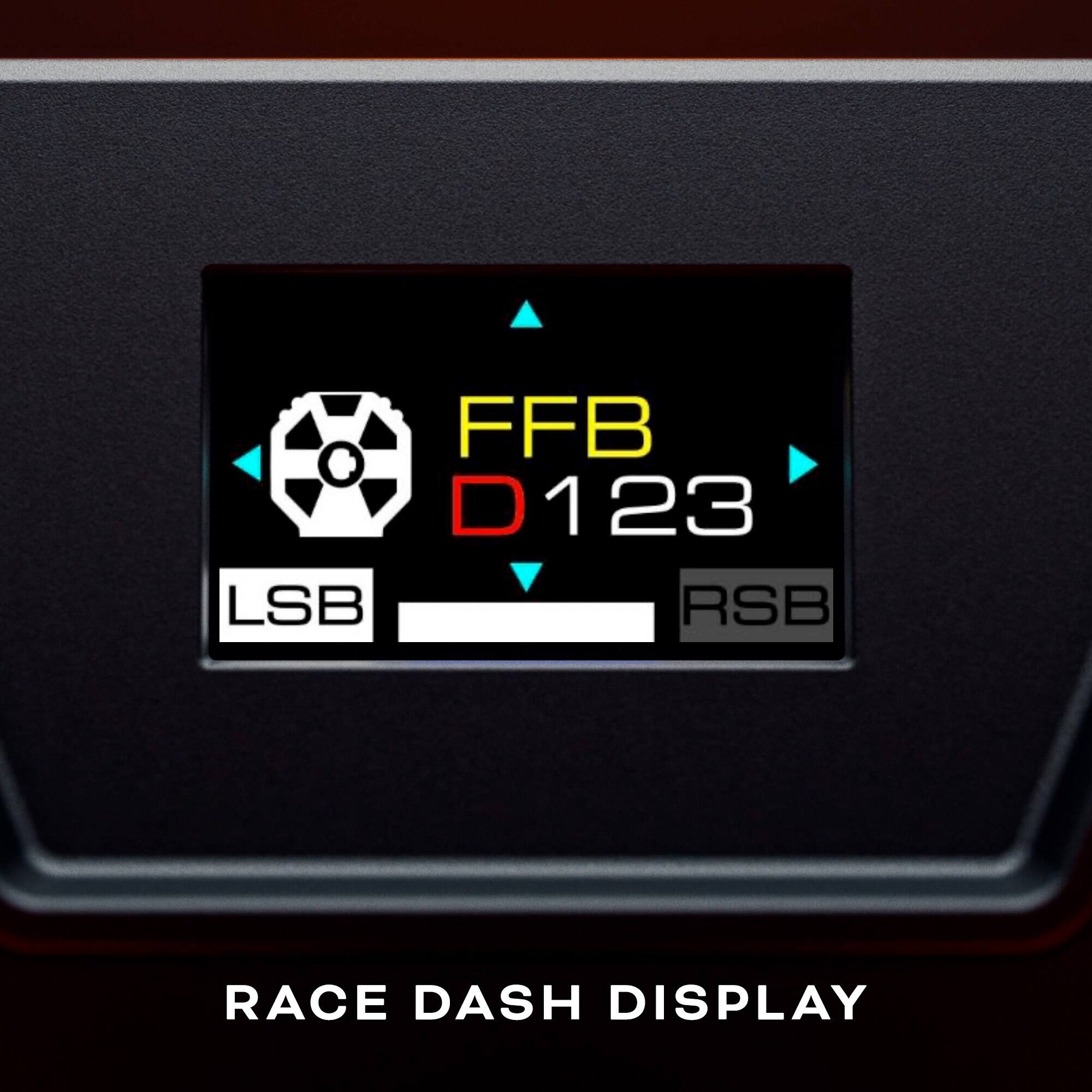 FFB D123 LSB RSB RACE DASH DISPLAY