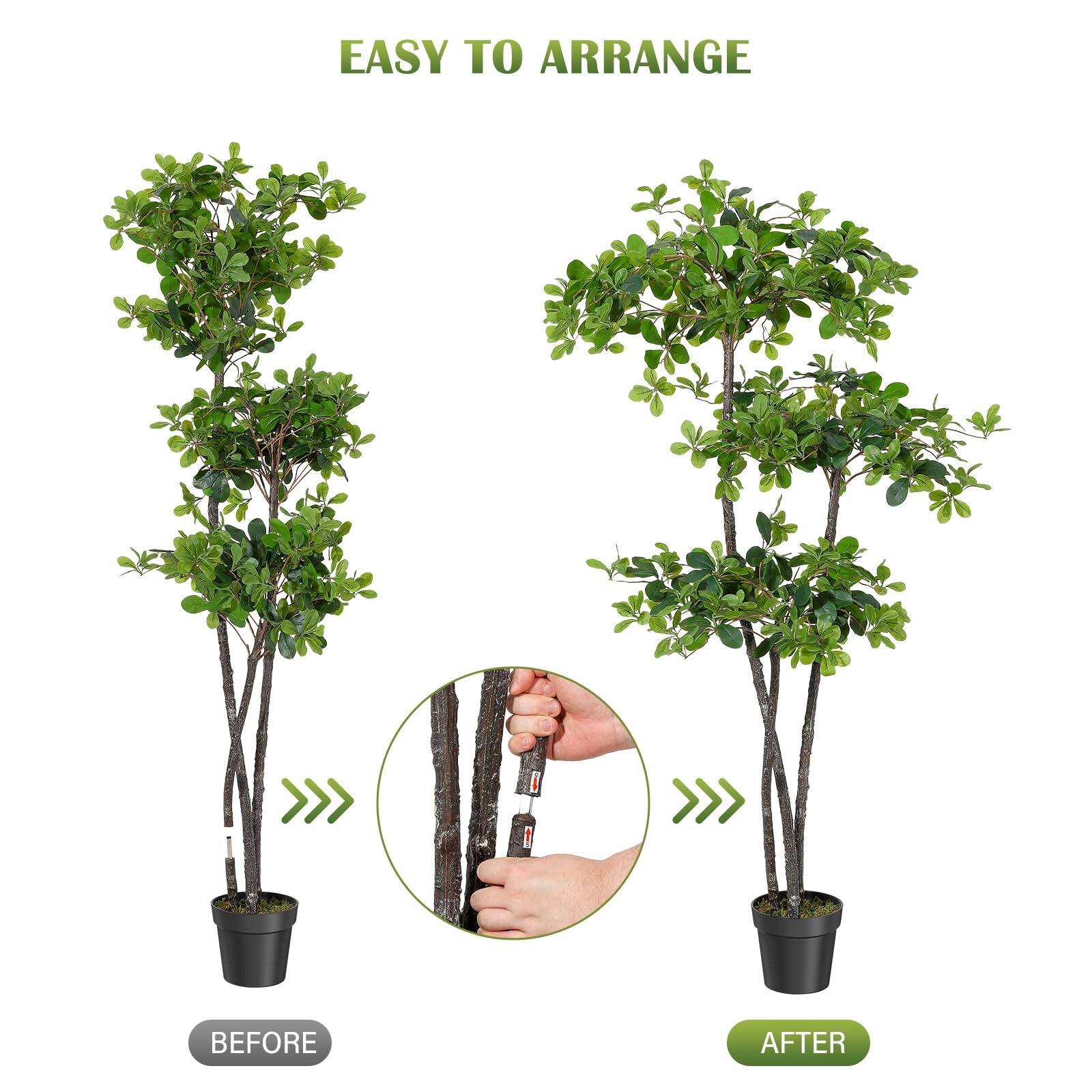 EASY TO ARRANGE

BEFORE

AFTER