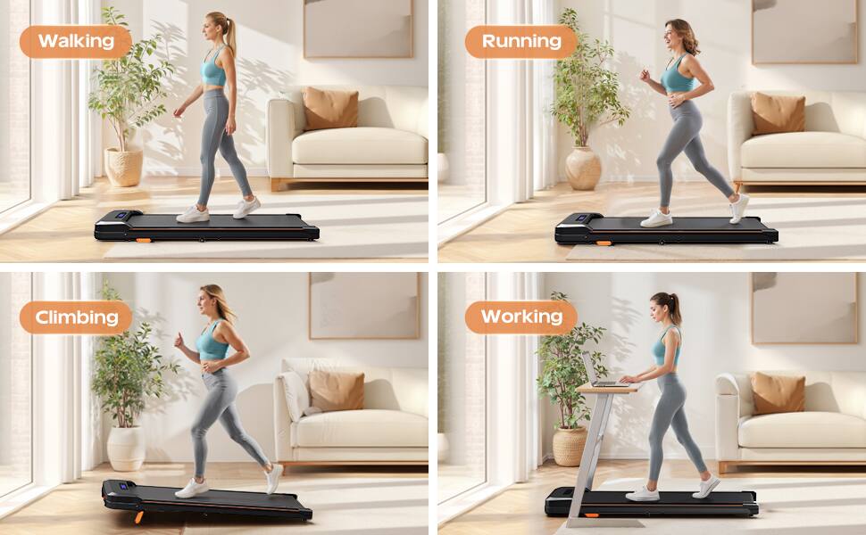 Walking  
Running  
Climbing  
Working