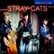 Front Standard. The Best of Stray Cats [2005 Capitol] [CD].