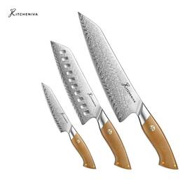 Kitcheniva - 3-Piece 67 Layer Damascus Steel Kitchen Knife Set with Micarta Handle