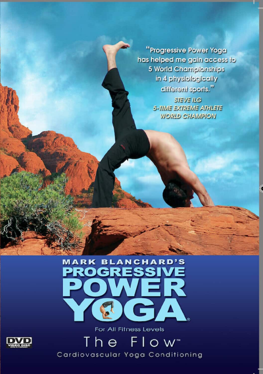 Progressive Power Yoga: Flow - DVD