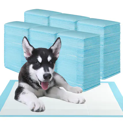 Front. Gymax - Gymax 36''x 24''(300 Counts) Dog Potty Training Pads Puppy Pee Pads w/ Quick-Drying - Blue.