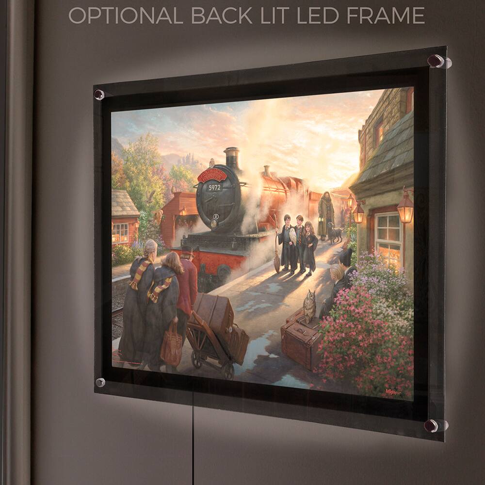 OPTIONAL BACK LIT LED FRAME