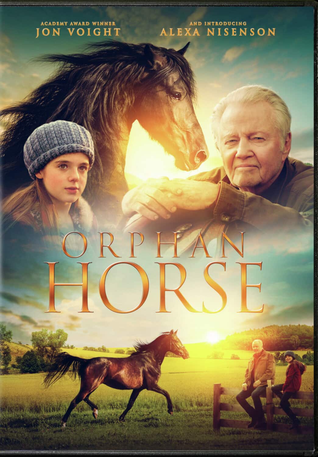 Orphan Horse  - DVD