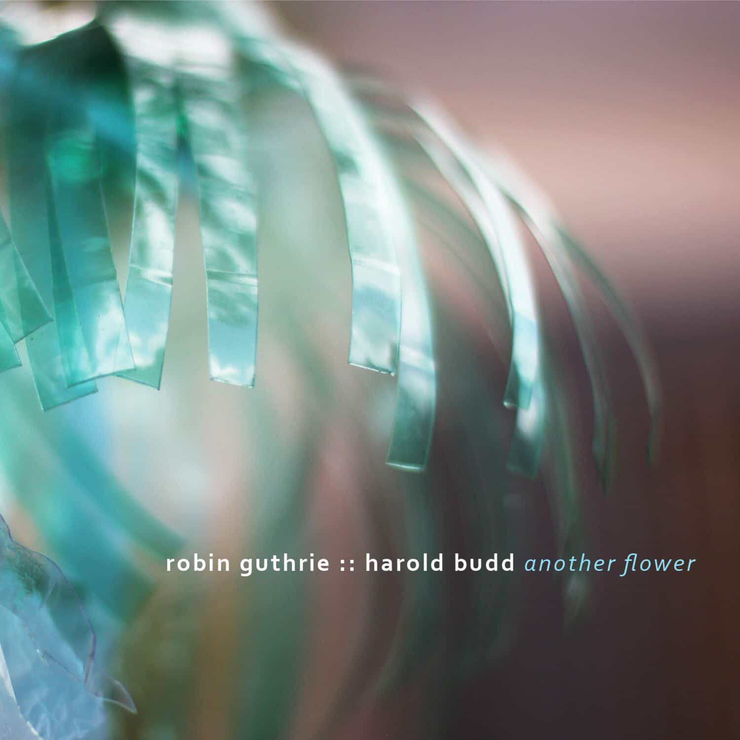 Guthrie,Robin / Budd,Harold - Another Flower   - COMPACT DISCS [CD] price history on PriceWatchPro