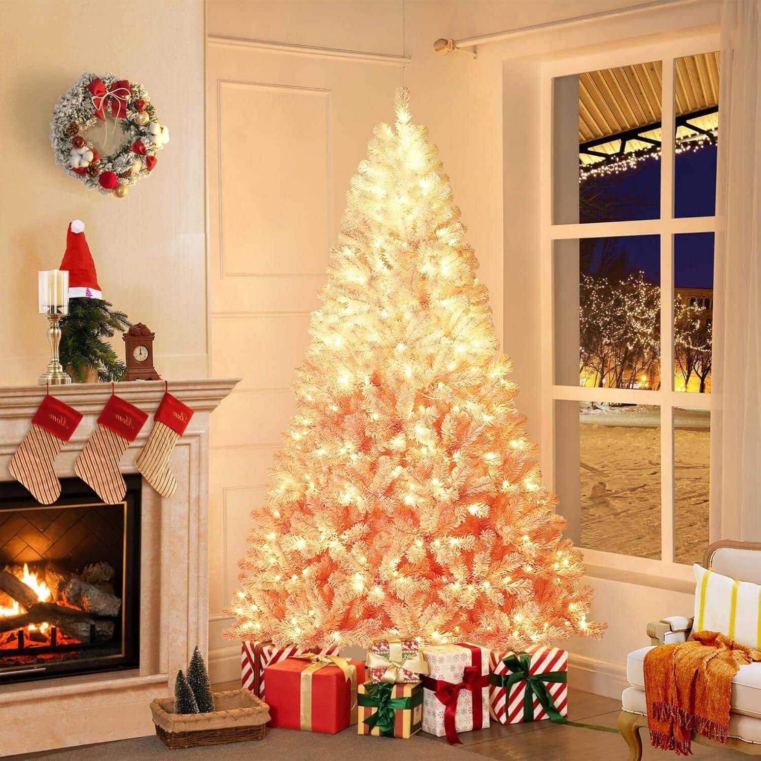 The text in the image reads:

- "molly"
- "molly"
- "molly"