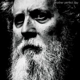 Bill Orcutt - Another Perfect Day - VINYL LP