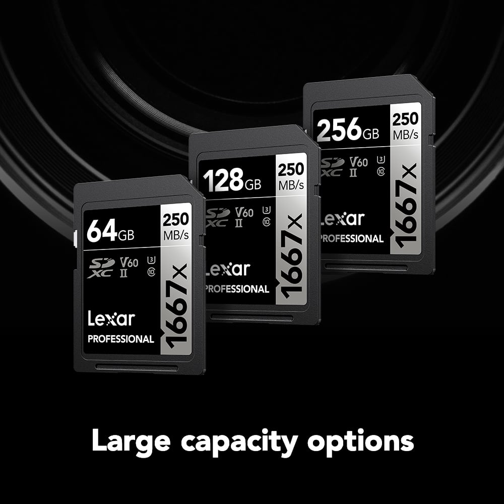 Lexar - 256GB Professional 1667x SD Card, UHS-II, C10, U3, V