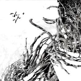 Negura Bunget - Virstele Pamintului - VINYL LP