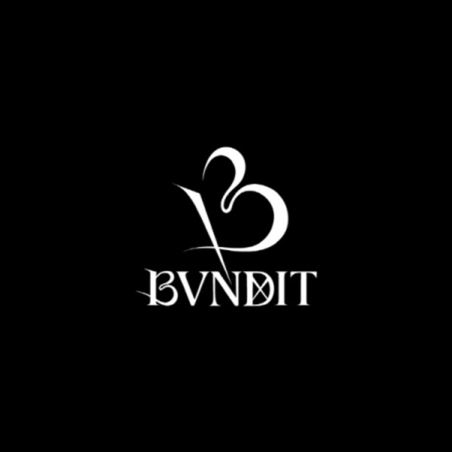 Bvndit - Re-Original - incl. 72pg Photobook, Poster, Postcard + Photocard   - COMPACT DISCS [CD] price history on PriceWatchPro