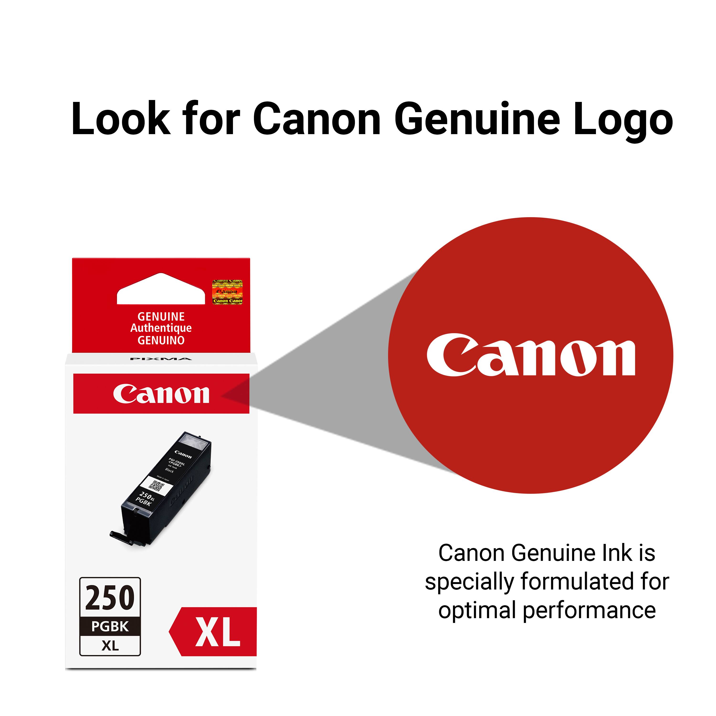 Look for Canon Genuine Logo

ACADESSE COMICS

Canon Cames

GENUINE Authentique GENUINO PIXMA Canon

Canon

Canox -

PG8K 250KL

250 PGBK XL

XL

Canon Genuine Ink is specially formulated for optimal performance