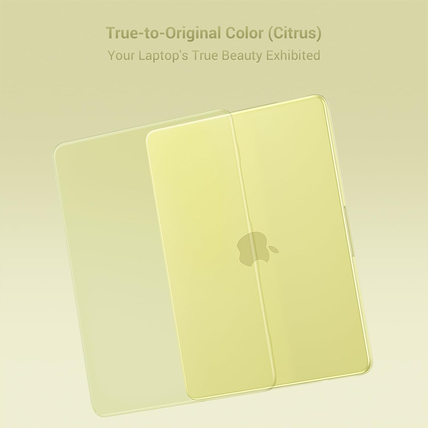 True-to-Original Color (Citrus)  
Your Laptop's True Beauty Exhibited