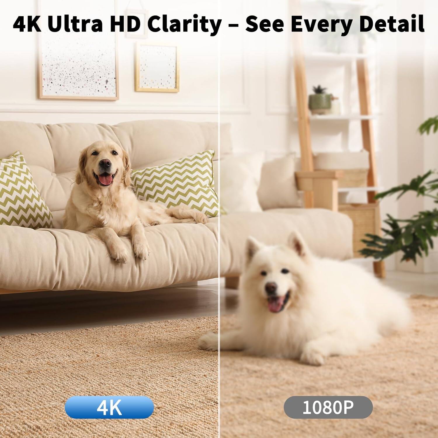 4K Ultra HD Clarity - See Every Detail

4K

1080P