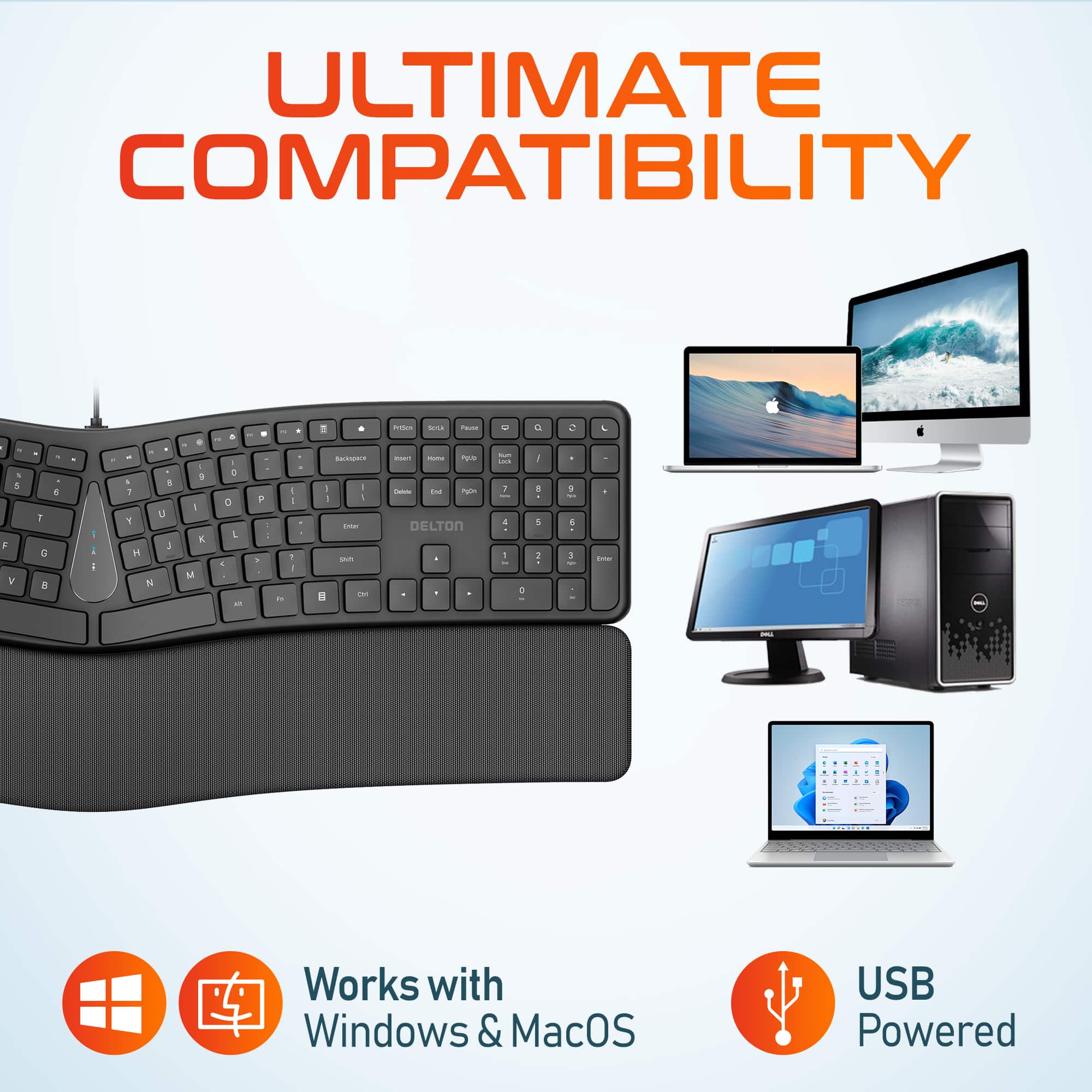 Delton KB250 Ergonomic Keyboard with Wrist Rest Pad (DKBE250 U