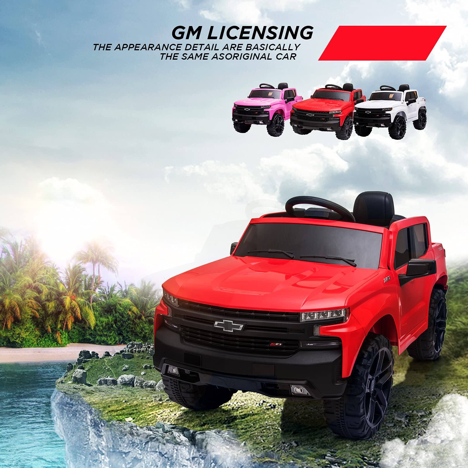 GM LICENSING  
THE APPEARANCE DETAIL ARE BASICALLY THE SAME AS ORIGINAL CAR