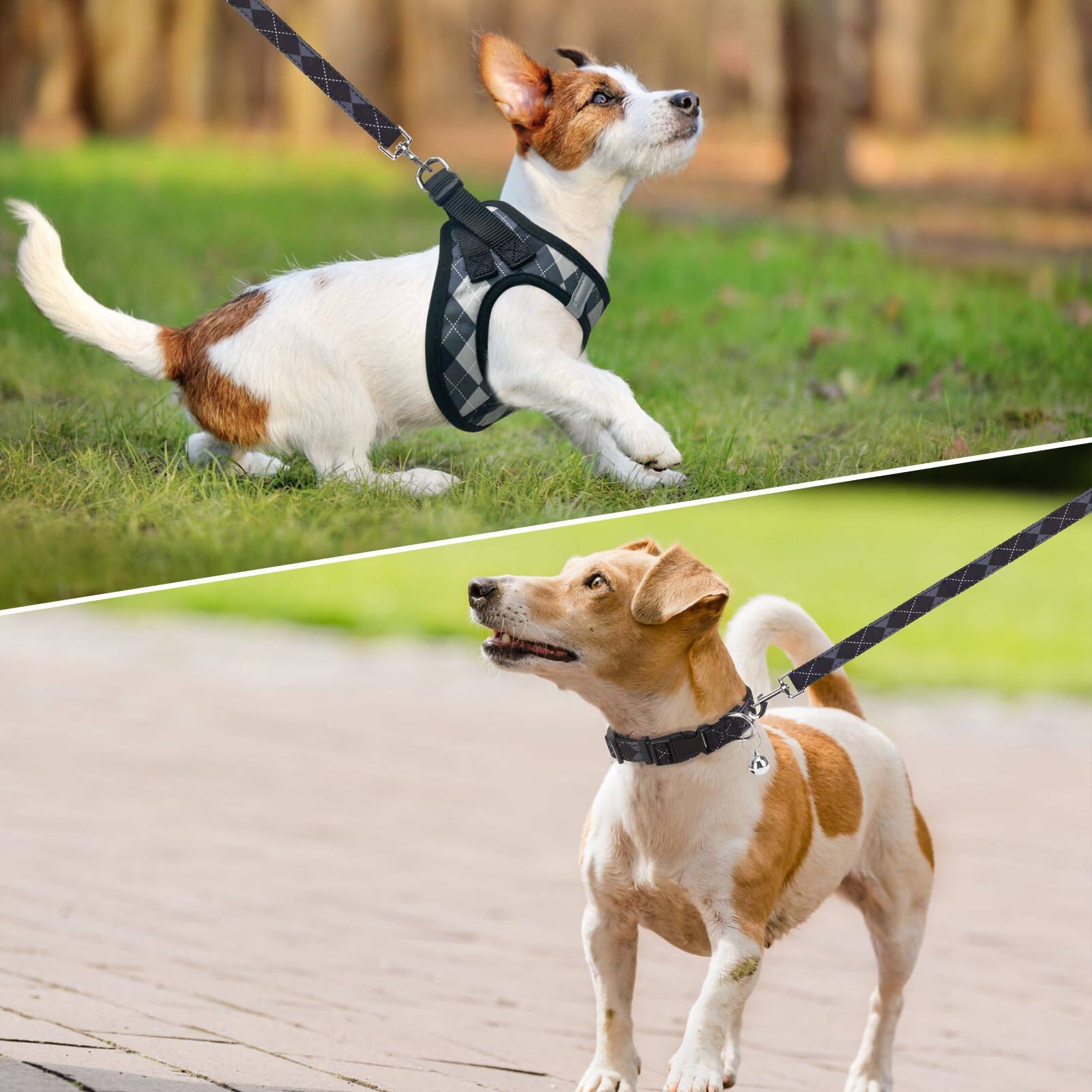 Alt View 2. Paradigms Interiors - Dog Harness And Leash Collar Set Step In No Pull Soft Mesh Harnesses For Sized Dogs Puppy Cats Outdoor - Purple-M: Chest Girth: 16"-18".