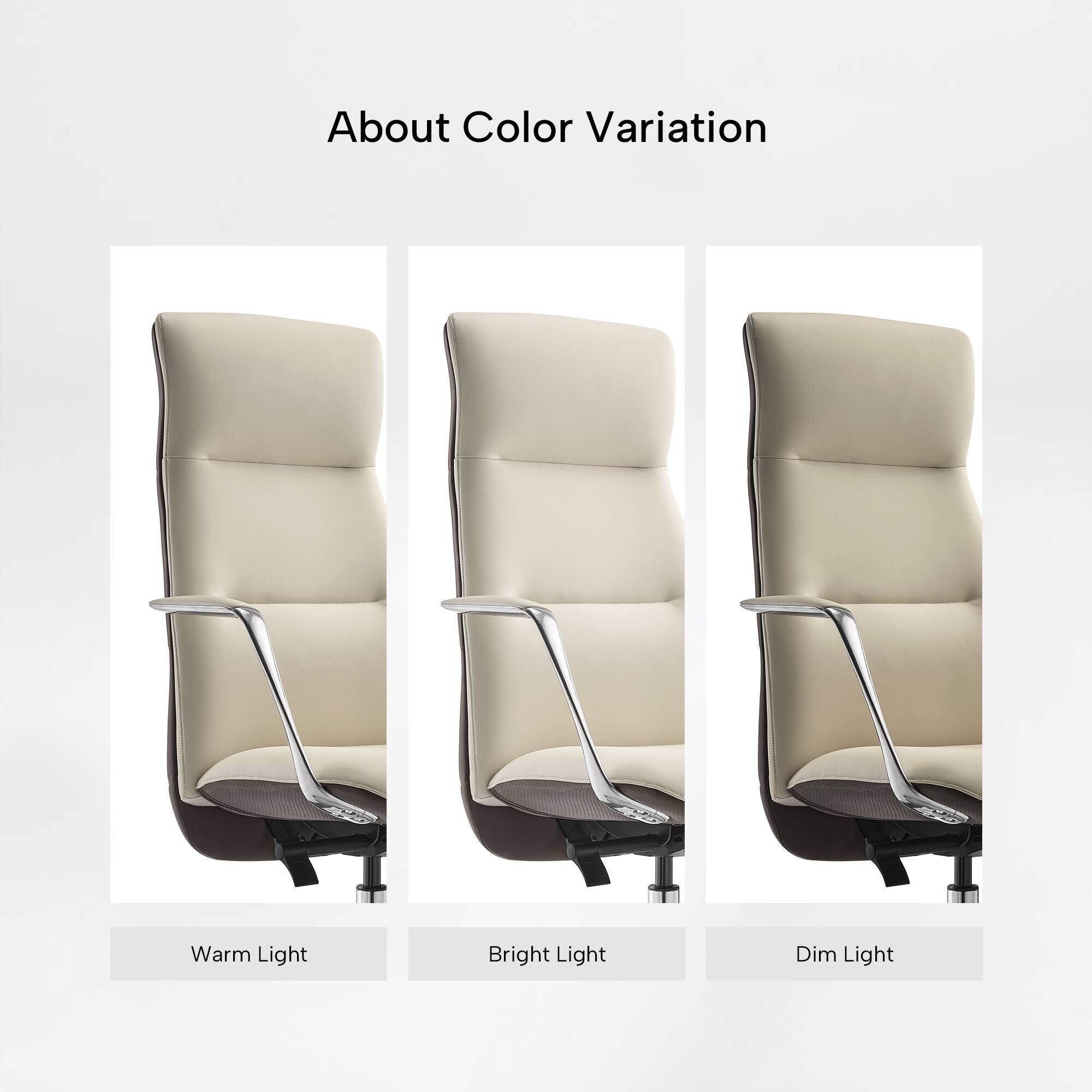 About Color Variation

Warm Light
Bright Light
Dim Light