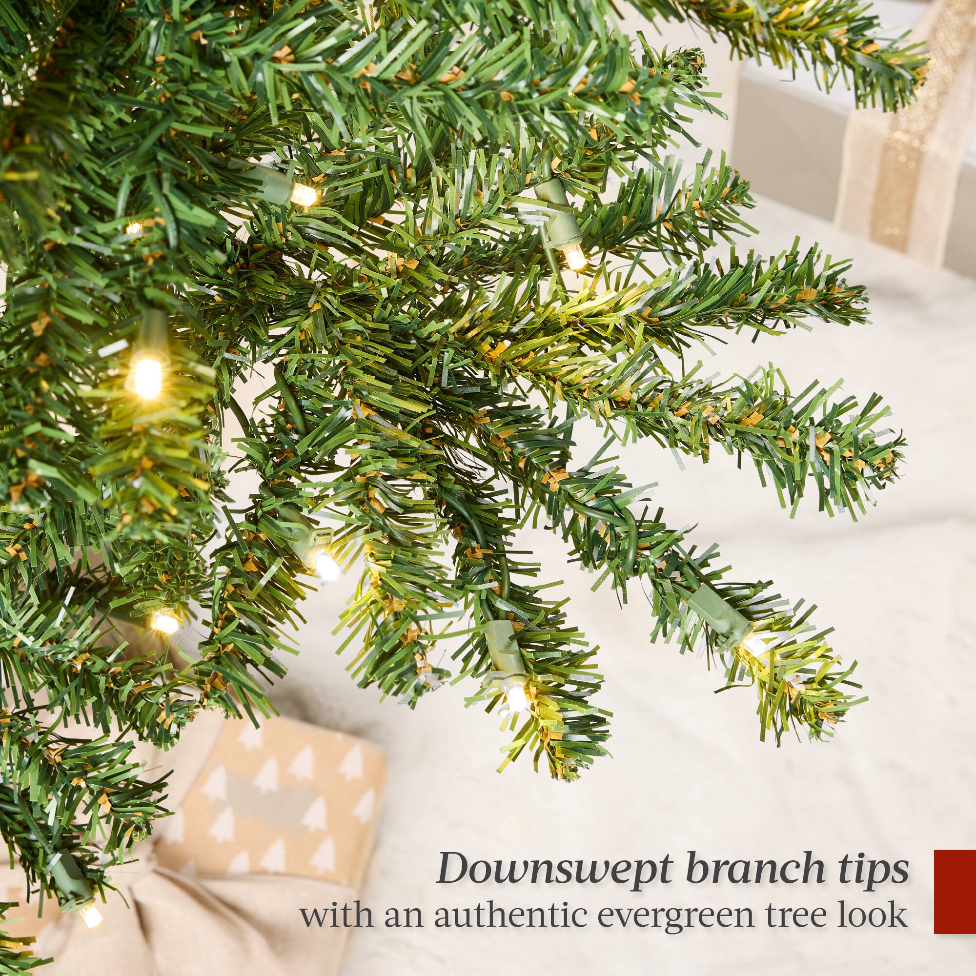 Downswept branch tips with an authentic evergreen tree look