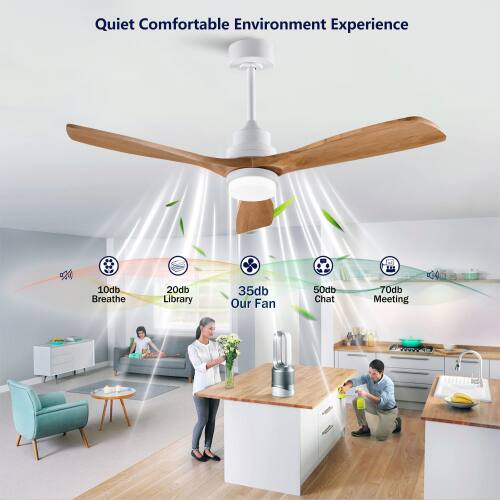 Quiet Comfortable Environment Experience  
10db Breathe  
20db Library  
35db Our Fan  
50db Chat  
70db Meeting  
CO R09V0