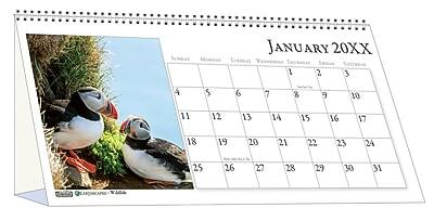 JANUARY 20XX

1 2 3 4 5 6 7 8 9 10 11 12 13 14 15 16 17 18 19 20 21 22 23 24 25 26 27 28 29 30 31