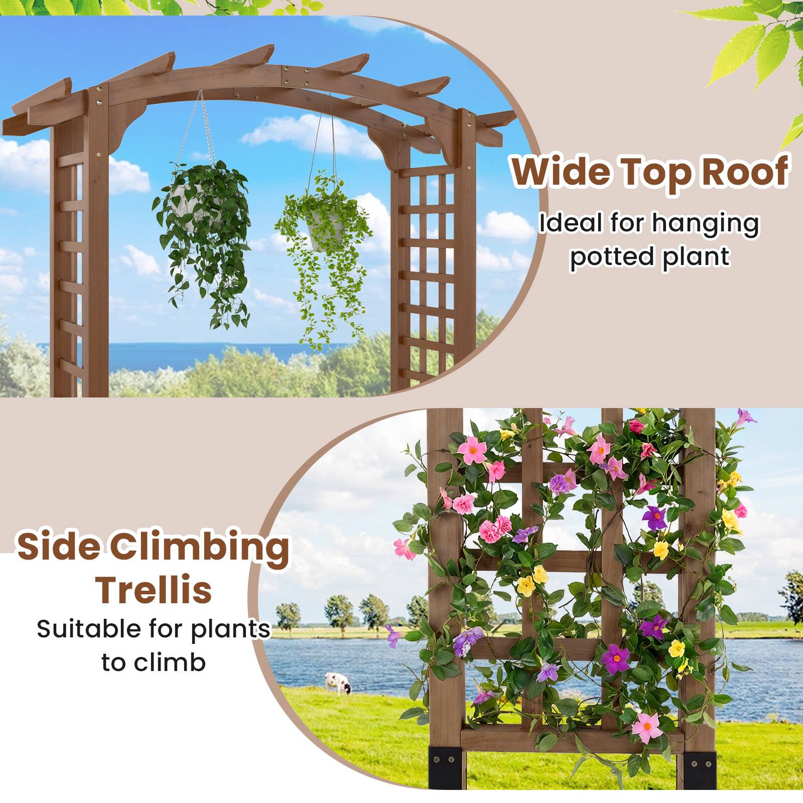 Wide Top Roof  
Ideal for hanging potted plant  

Side Climbing Trellis  
Suitable for plants to climb