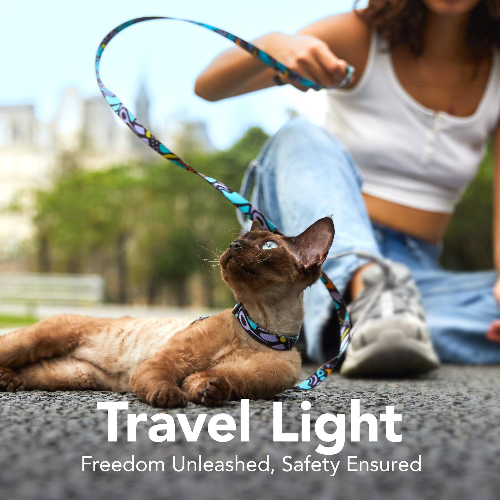 Travel Light  
Freedom Unleashed, Safety Ensured