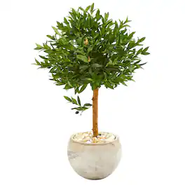 BreeBe - 38" Olive Artificial Tree in Planter UV (Indoor/Outdoor) - Green