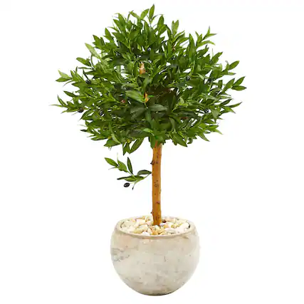 Front. BreeBe - 38" Olive Artificial Tree in Planter UV (Indoor/Outdoor) - Green.