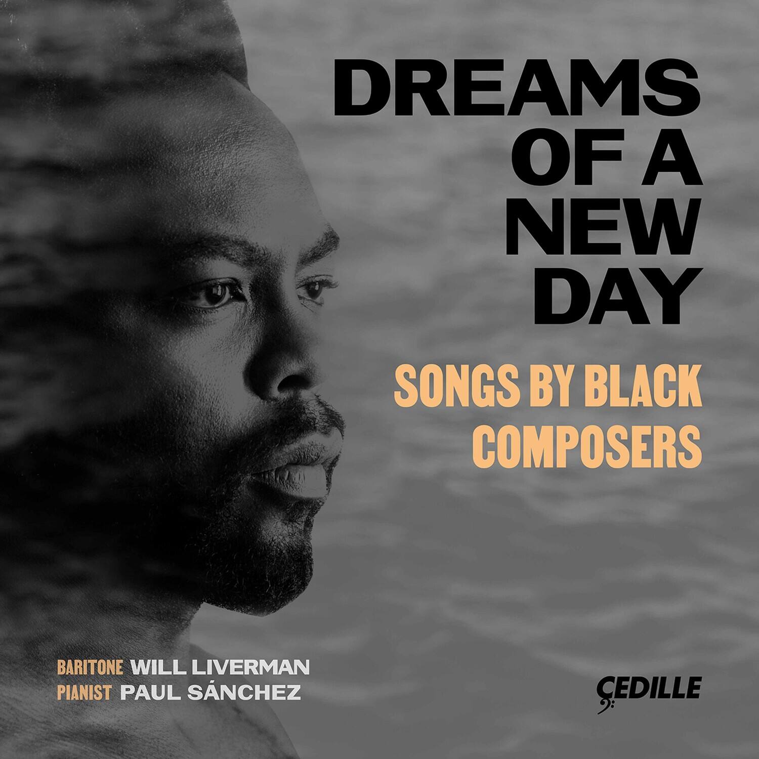Liverman Sanchez - Dreams of a New Day: Songs by Black Composers   - COMPACT DISCS [CD] price history on PriceWatchPro