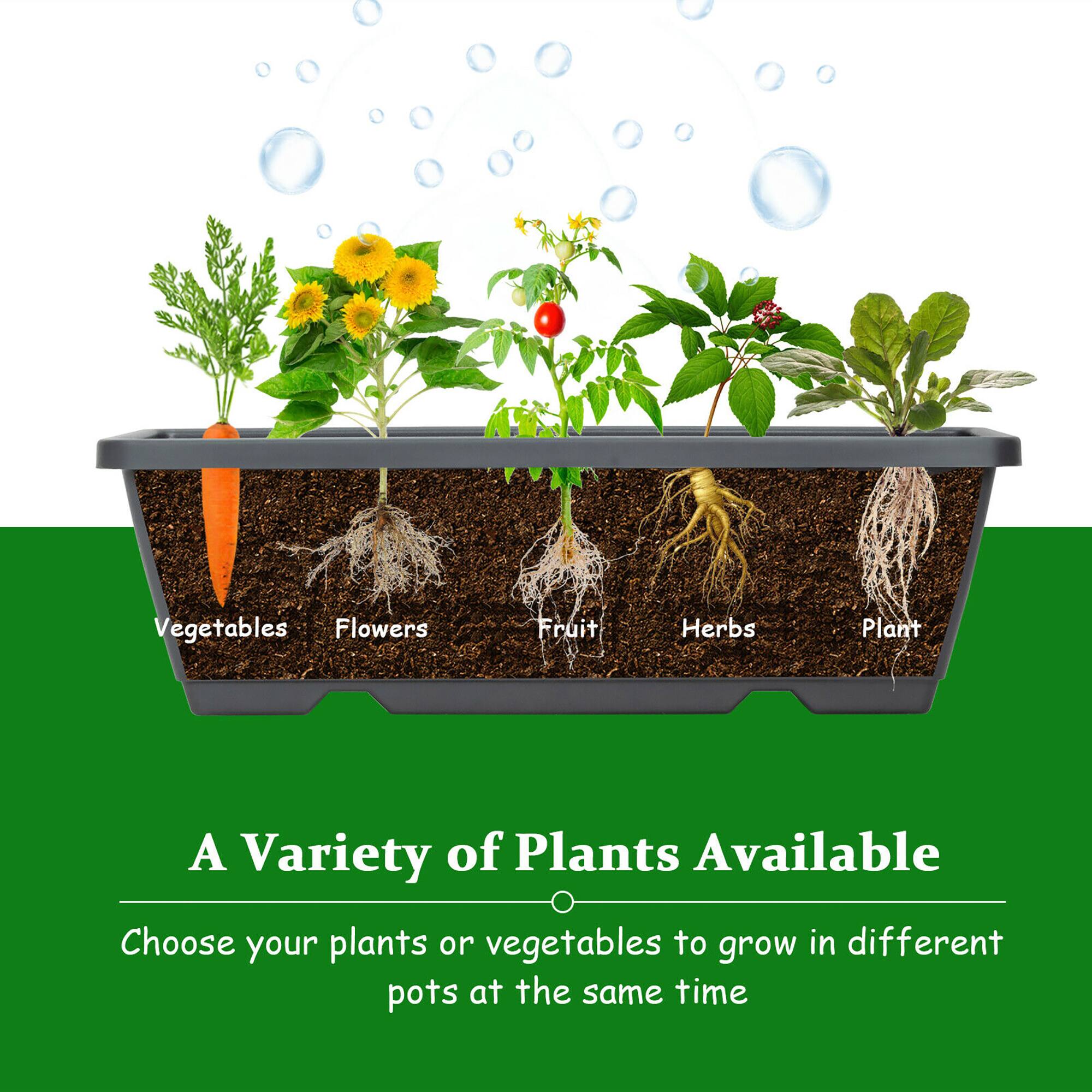 A Variety of Plants Available Choose your plants or vegetables to grow in different pots at the same time