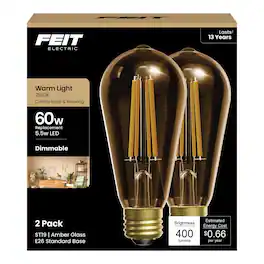 FEIT ELECTRIC - Feit ST19 E26 (Medium) Filament LED Bulb Warm Amber 60 Watt Equivalence 2 pk