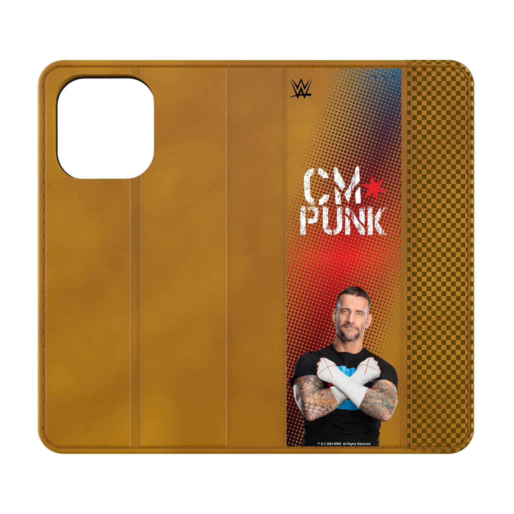 CM Punk